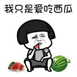 吃瓜娱乐达人是谁,揭秘娱乐圈幕后风云